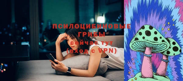 тгк Заводоуковск