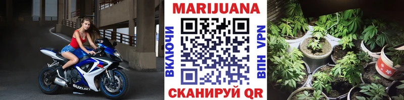 Каннабис VHQ Купить Камешково